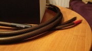 Acoustic Starr 2x3,2m klasowe kable głośnikowe