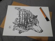 Rysunek: wilk leśny 2, cienkopis - A3, 250g/m2