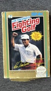 Fighting golf Nintendo NES
