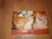 Obrazek koty trójwymiarowy wypukły tłoczony relief kocięta PRL Vintage