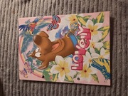 Karteczka do segregatora duża 