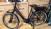 Rower elektryczny Kross E-bike MULTICYCLE Solo EMS D53 - NOWY CENA!!!