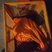 Farba podkładowa okrętowa minia sucha 