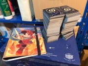 Disney Lorcana zestaw bulk + album