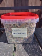 Szyszki chmielu  mieszanka odmian aromatycznych . .