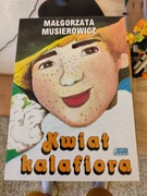 Kwiat kalafiora - Małgorzata Musierowicz