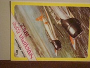 Model Kartonowy Nakajima B5N2 KATE