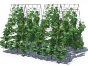 Dwuczęściowy trejaż ogrodowy, kratka pod rośliny pnące