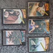 Maria Rodziewiczówna 5 tytułów