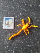 zabawka gra sensoryczna sprawnościowa edukacyjna