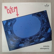 DŻEM -"Zemsta Nietoperzy" winyl 
