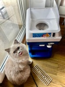 KRUSZARKA DO LODU LODÓW GRANITOR MASZYNKA GASTRO