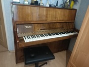 pianino RYTM  /rosyjskie/ Kielce
