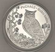 20 zł 2005 rok puchacz 