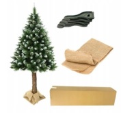 Choinka na pniu Sosna diamentowa Gęsta Ośnieżona 180 CM