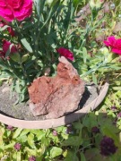 Geoda agatu z drobnymi kryształkami kwarcu