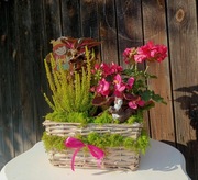 Kompozycja z żywych kwiatów z dodatkiem jesiennych dekoracji 