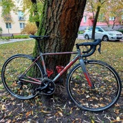 Fuji Roubaix 1.3 2019 rozmiar 52