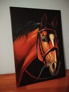 Koń konik portret łep konia recznie malowany obraz na prezent