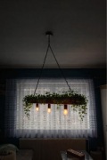 Lampa wisząca loft / industrial – drewno + rośliny
