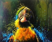 Obraz "Papuga" wystawa "Peruwiańska Selva"