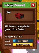 Roblox Grow a Garden | LADYBUG [Common]  | szybka dostawa