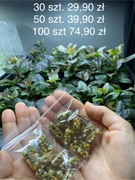 Kapsułki nawozowe do akwarium 60 sztuk wydajne 