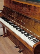 Pianino Calisia M 40 Bolero
