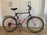 rower MTB Peugeot Alpine Express