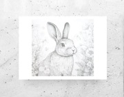 czarno biały plakat A4, królik plakat, szary plakat, króliczek plakat 21x30