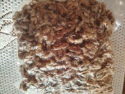 ORZECHY WŁOSKIE ŁUSKANE 1 KG JASNE SMACZNE 2025 - PAKOWANE PRÓŹNIOWO !