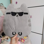 Pusheen w okularach poduszka 
