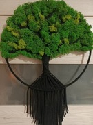 Drzewo makrama chrobotek mech czarny sznurek baweł