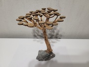 Dekoracja do akwarium - drzewko bonsai