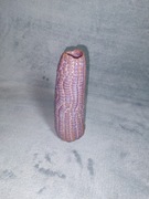 Wazon na kwiaty kukurydzy Despots 