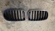 BMW F25 Grill  Nerka atrapa chłodnicy X3 oryginalny 