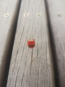 Odznaka Herb Krakowa - PRL