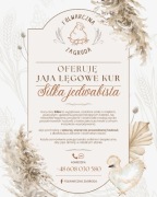Oferuję jajka lęgowe kur Silka Jedwabista - 100zł za 10 sztuk