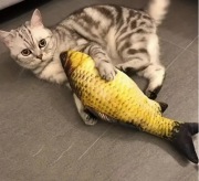 Zabawka dla kota kolorowa ryba