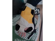 Plecak dla Psa / Kota Super Materiał z Lnem