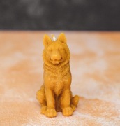 Świeca z wosku pszczelego owczarek niemiecki