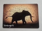 Magnes na lodówkę Serengeti Park Narodowy Afryka Kilimandżaro Słoń (34).