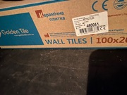 Kafelki białe na ścianę 10x20 cm 