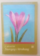 Narcyzy i krokusy Joanna Krause