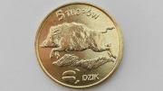 5 Tropów Dzik dukat lokalny gmina Osina stan 1 (1642)