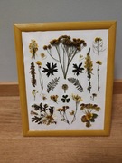 Obrazek z suszonych kwiatów 