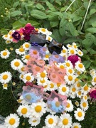 Okulary przeciwsłoneczne dziecięce