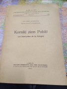 Kroniki ziem Polskich