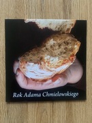 Rok Adama Chmielowskiego - Folder / 2017