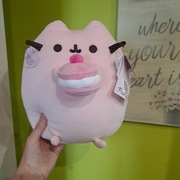 Pusheen rz babeczką 